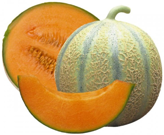 PUREE DE FRUITS SURGELÉ - Melon
