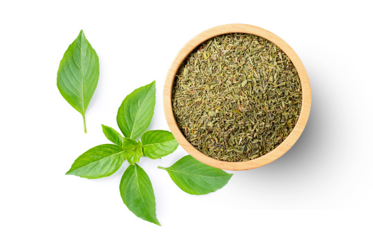 Plantes aromatiques - Basilic