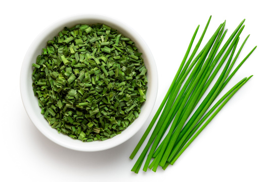 Plantes aromatiques - Ciboulette