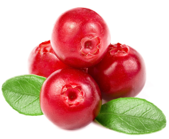 PUREE DE FRUITS SURGELÉ - Cranberry