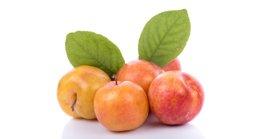 PUREE DE FRUITS - Mirabelle