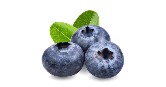 PUREE DE FRUITS SURGELÉ - Myrtille sauvage