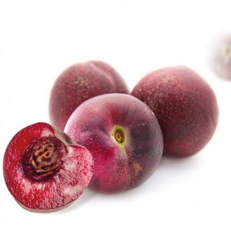 PUREE DE FRUITS SURGELÉ - Pêche de vigne